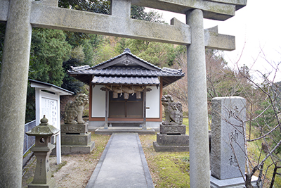 鳥居からの岐神社の写真
